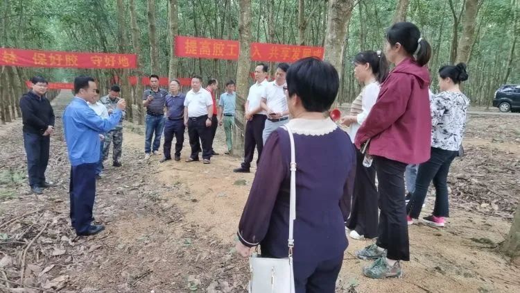 1699761631875031530.jpg 全国割胶冠军张健给各单位学员做标准化胶园建设及割胶技术的经验介绍。.jpg
